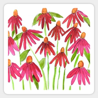 Pink Echinacea Cone Flowers Sticker